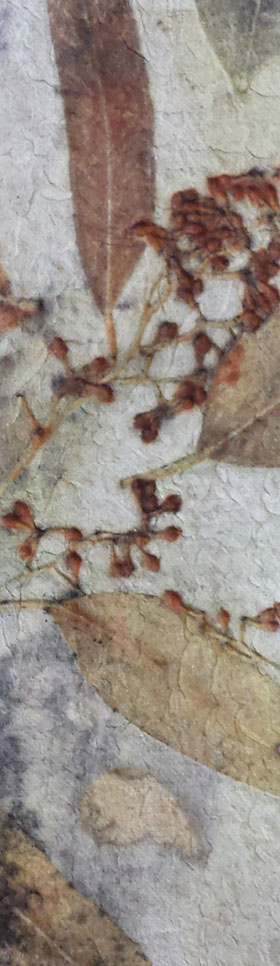 Bild: Ecoprint, Barbara Frobenius-Voß
